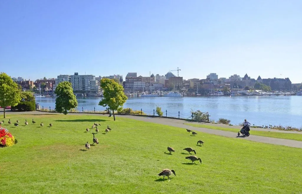 Sparkling Gem And Brand New Condo In The Heart Of The City Victoria 0*,  Kanada
